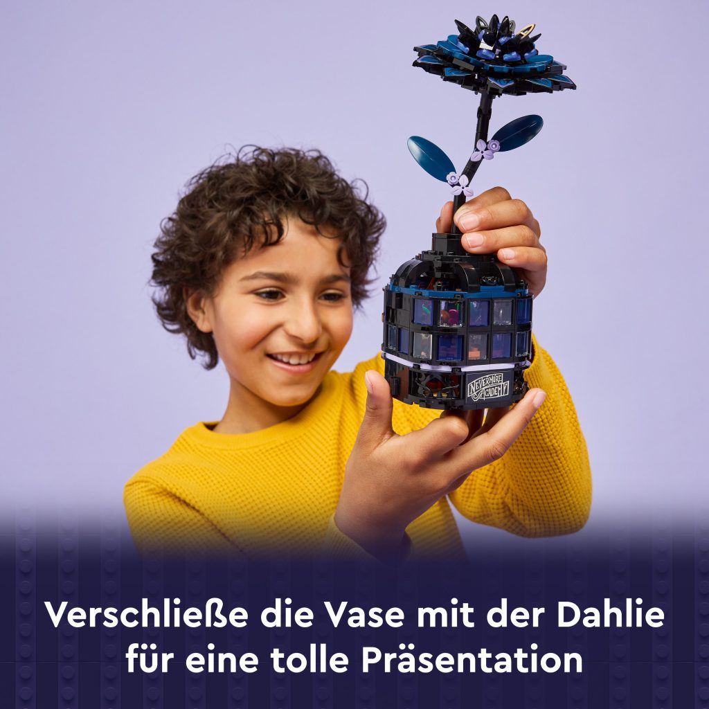 Produktabbildung Schwarze Dahlie