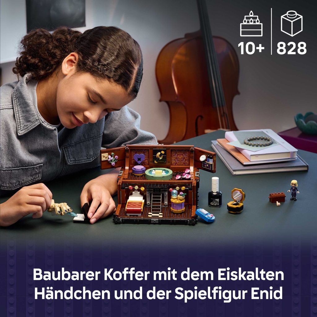 Produktabbildung Die Wohnung des Eiskalten Händchens