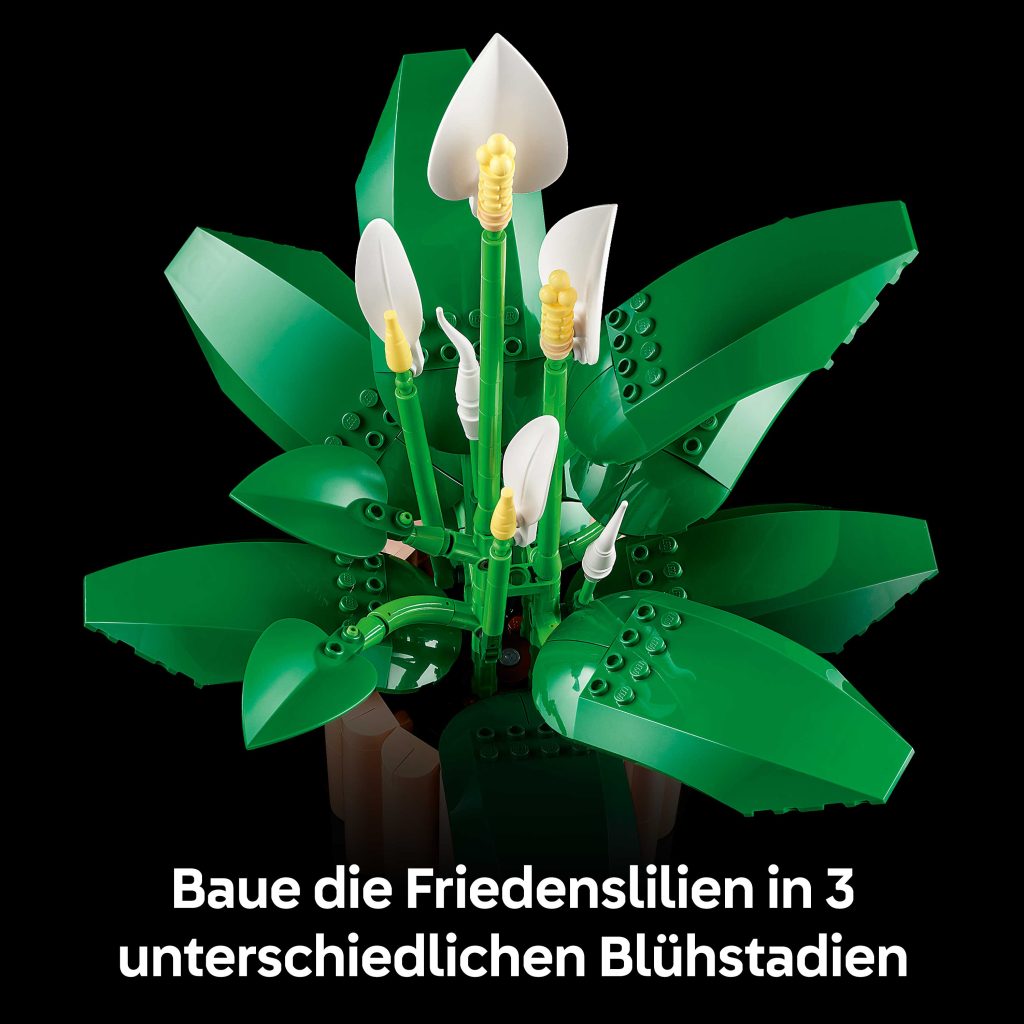 Produktabbildung Friedenslilie