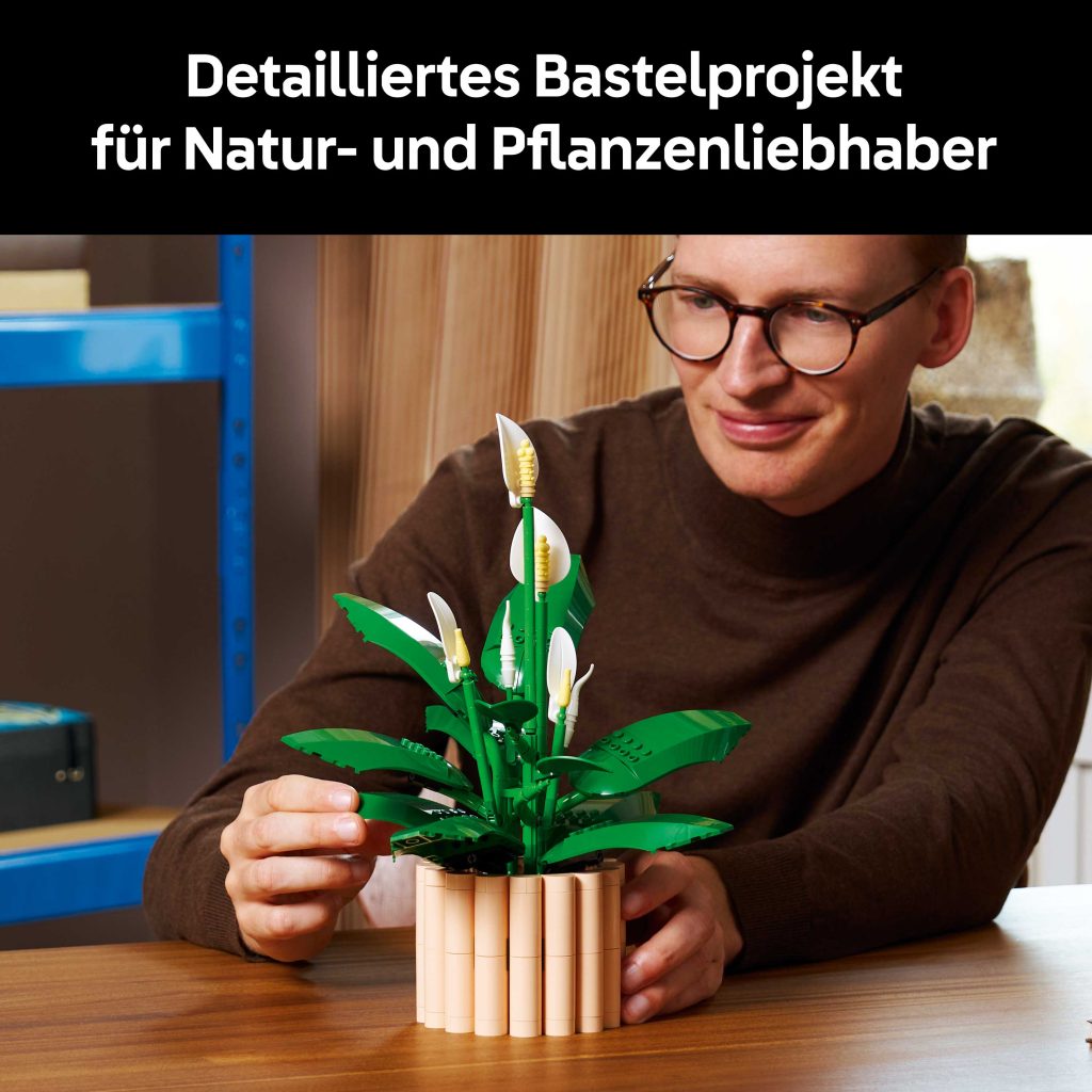 Produktabbildung Friedenslilie