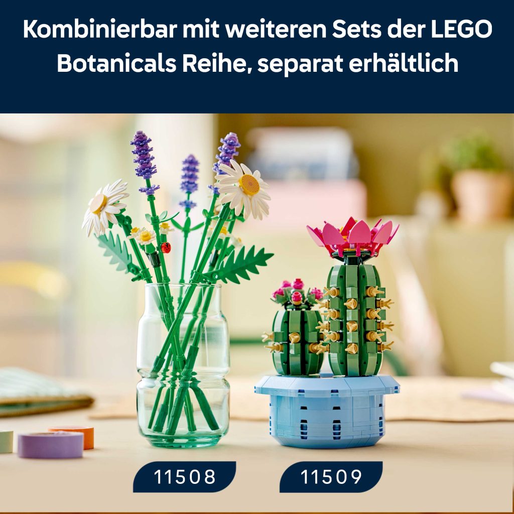 Produktabbildung Gänseblümchen
