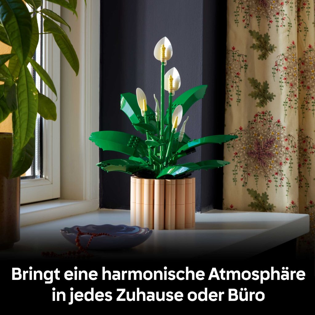 Produktabbildung Friedenslilie