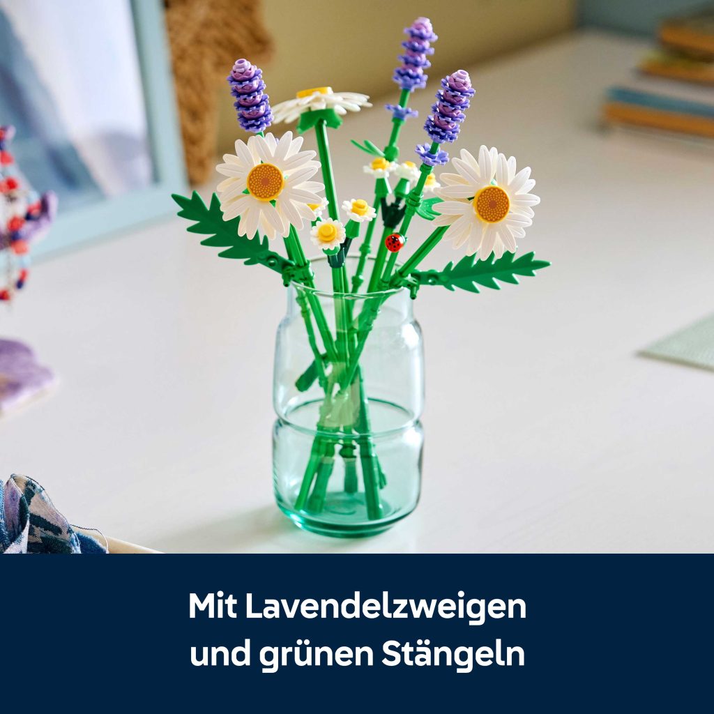 Produktabbildung Gänseblümchen