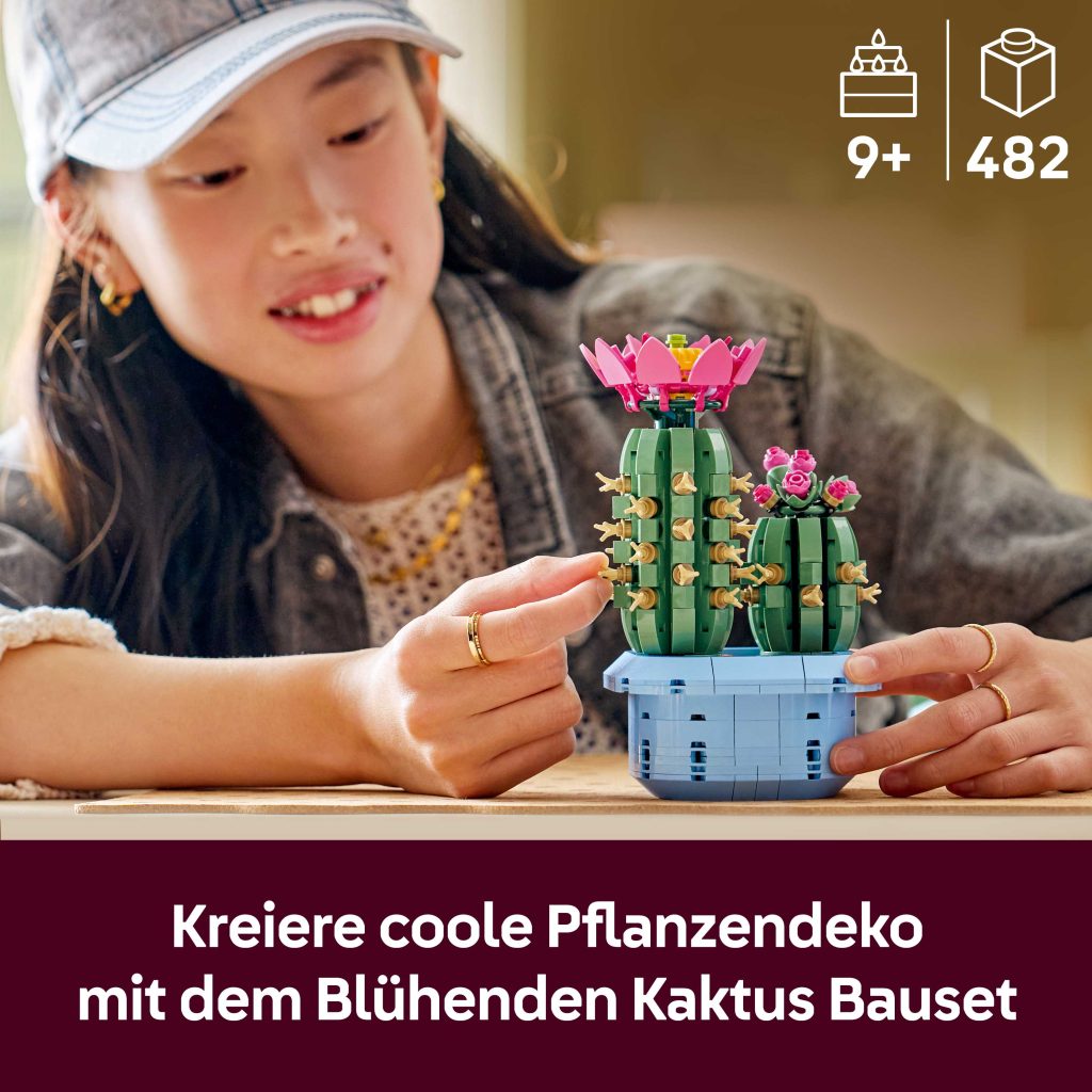 Produktabbildung Blühender Kaktus