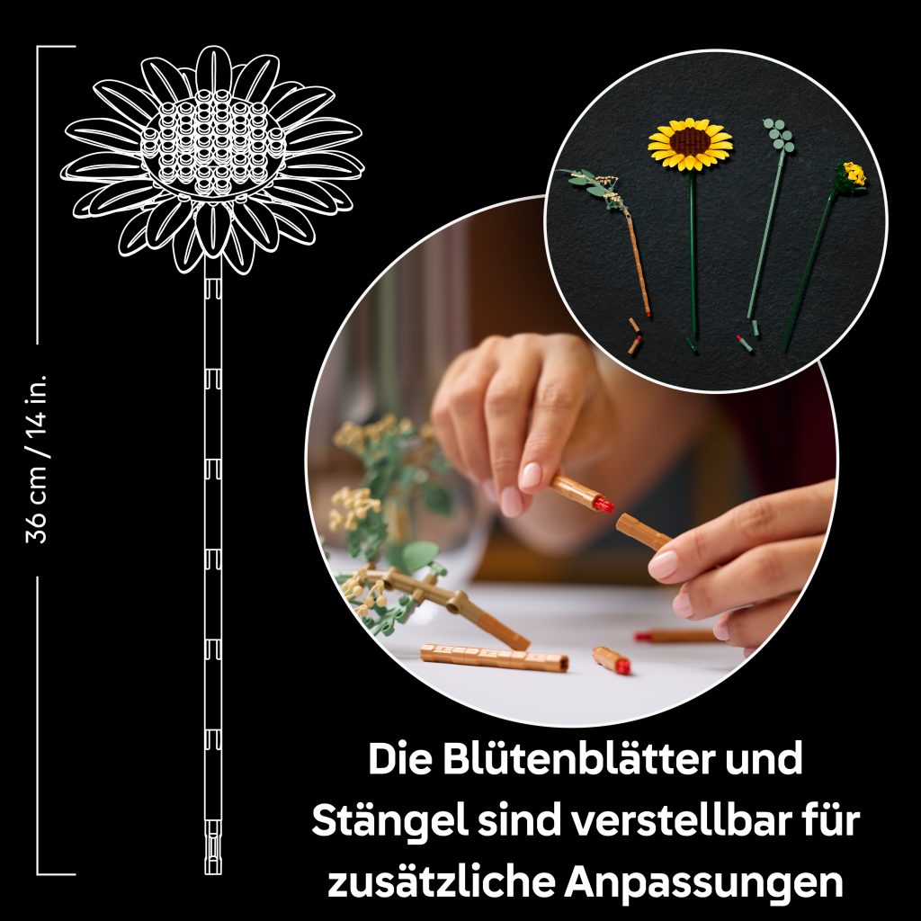 Produktabbildung Sonnenblumen