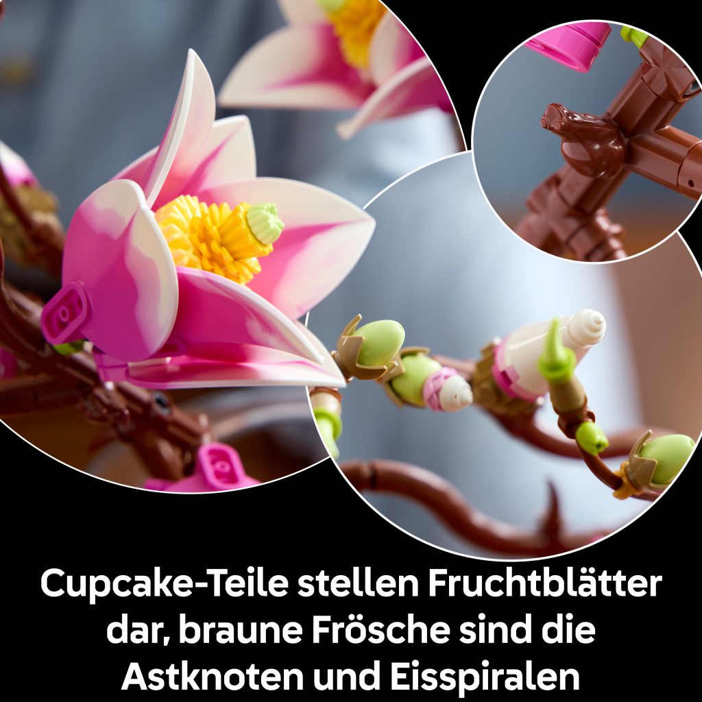 Produktabbildung Magnolienzweige