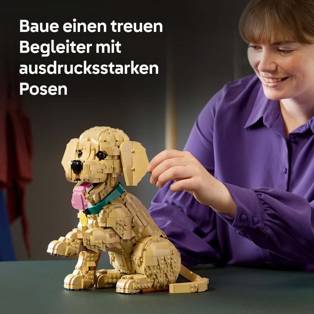 Produktabbildung Golden Retriever Welpe