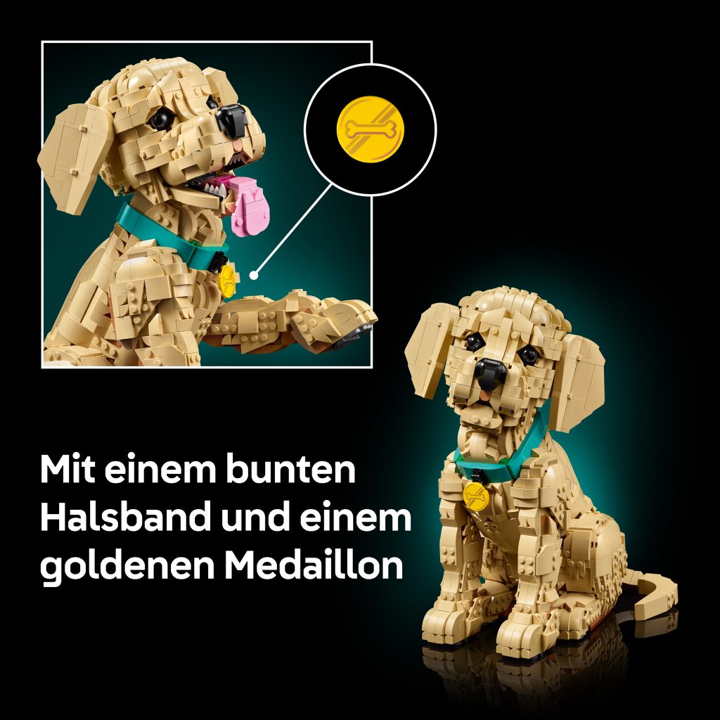 Produktabbildung Golden Retriever Welpe