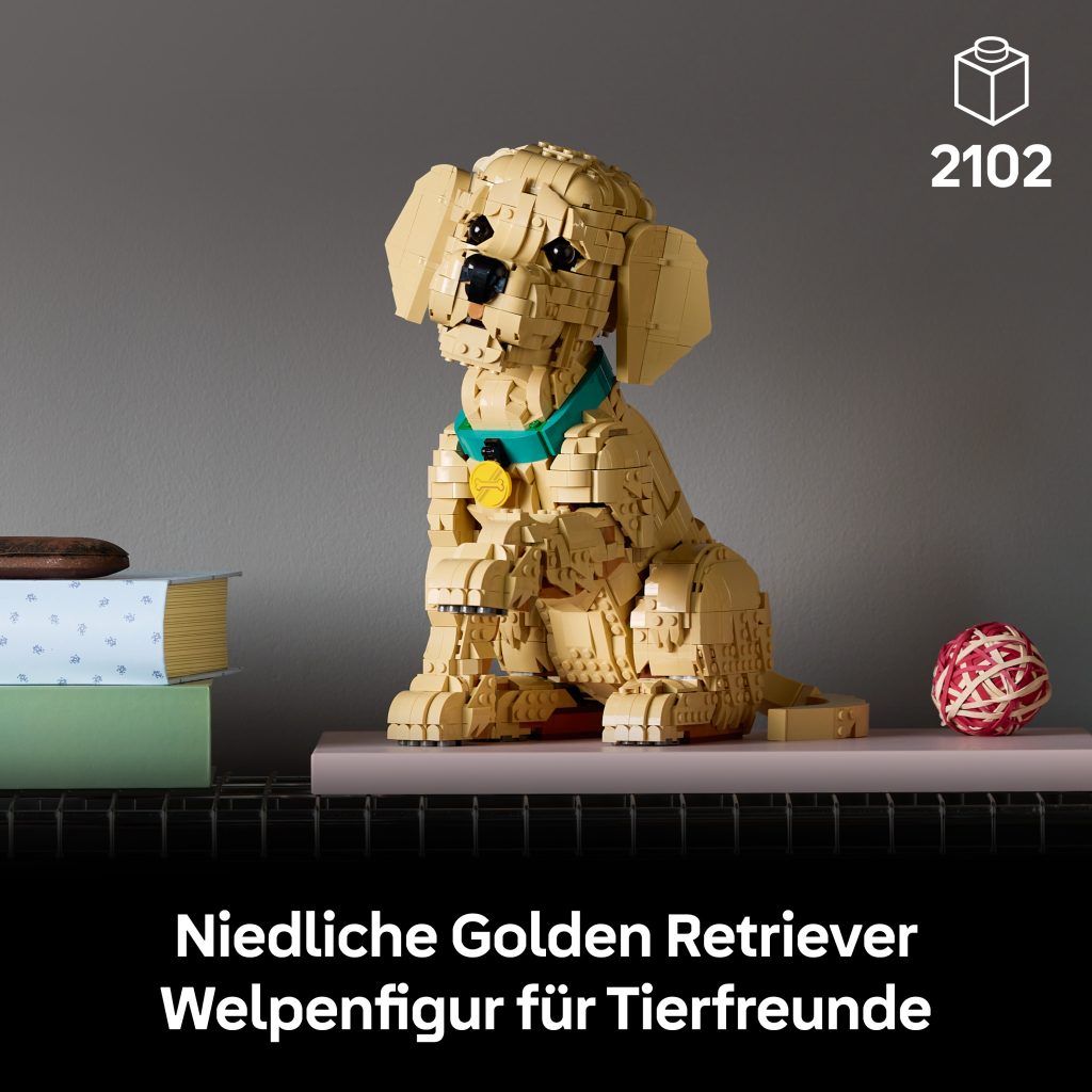 Produktabbildung Golden Retriever Welpe