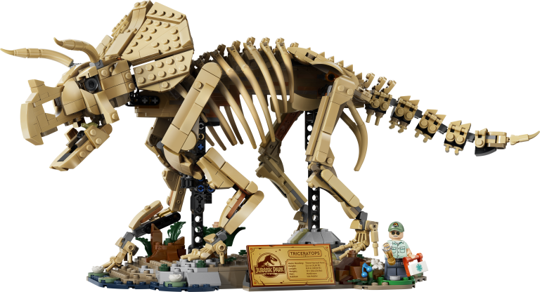 Dinosaurier-Fossilien: Triceratops