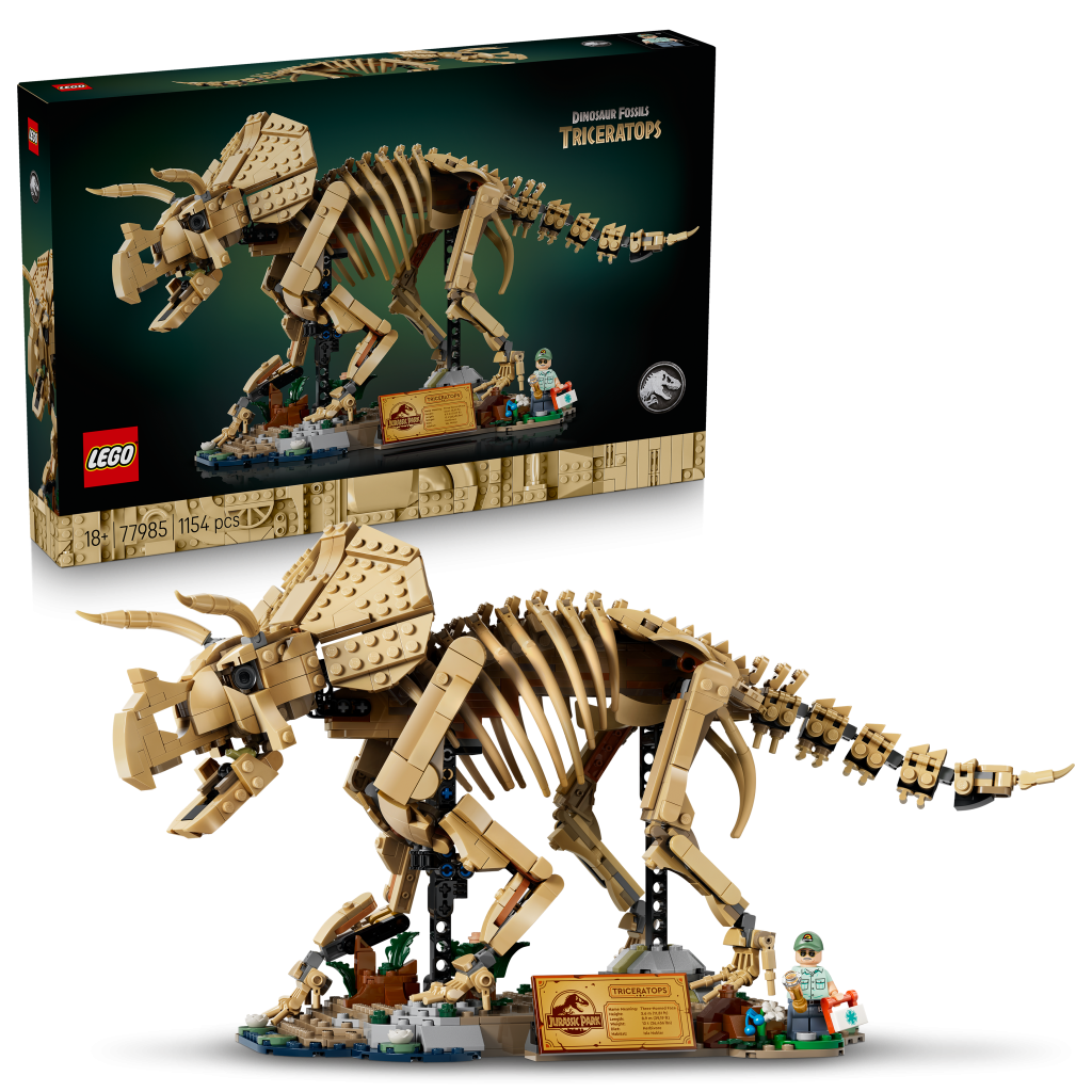 Produktabbildung Dinosaurier-Fossilien: Triceratops