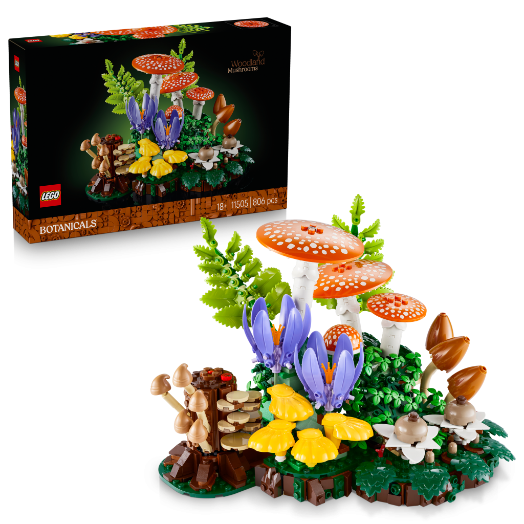Produktabbildung Waldpilze