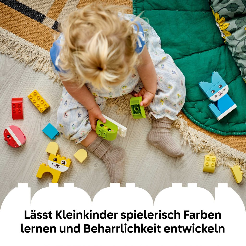 Produktabbildung 3-in-1 Kreative Tiere