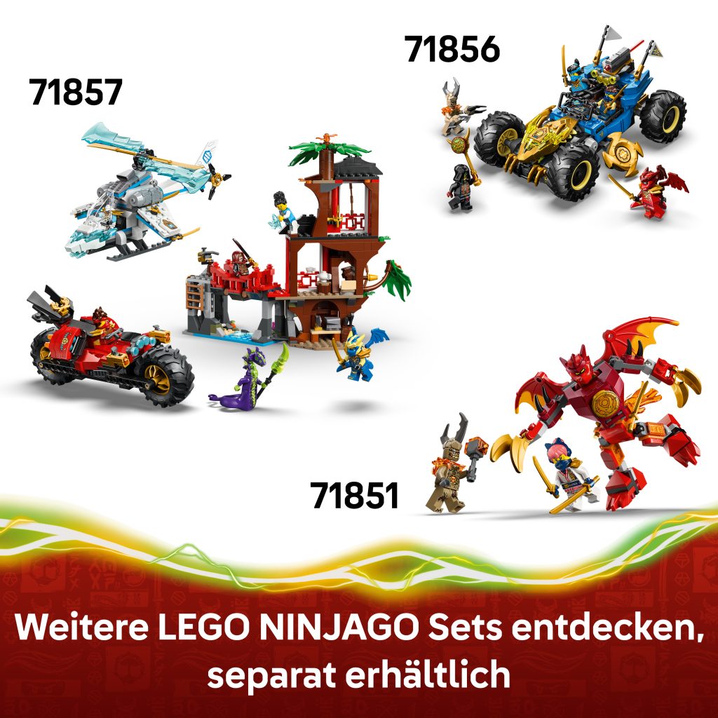 Produktabbildung Der Drache des Lebens