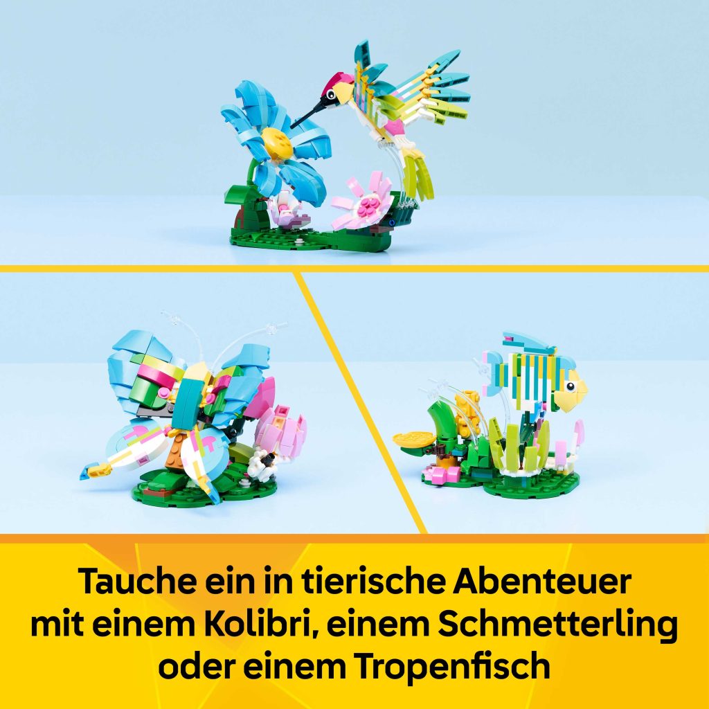 Produktabbildung Wilde Tiere: Bunter Kolibri