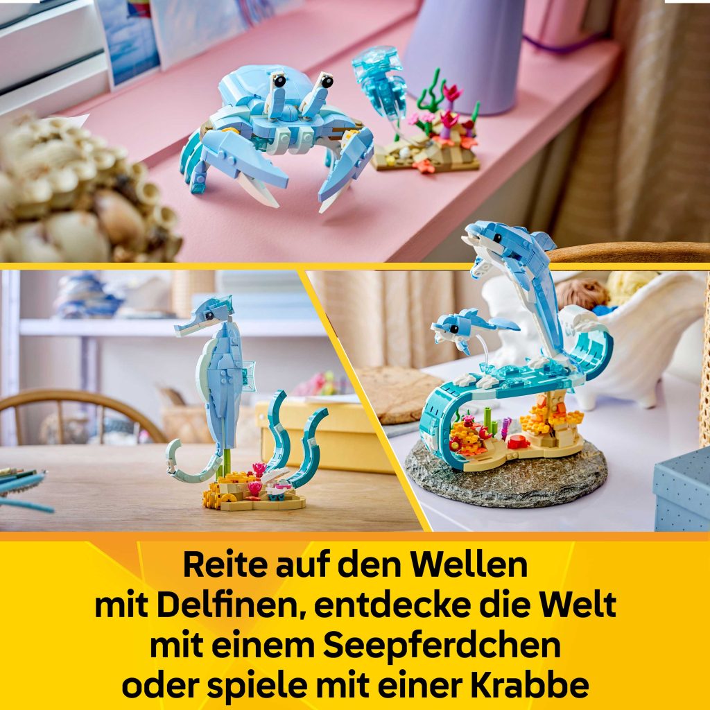 Produktabbildung Meerestiere: Wunderschöne Delfine