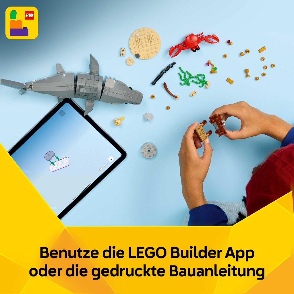 Produktabbildung Wilder Hai mit Schatztruhe