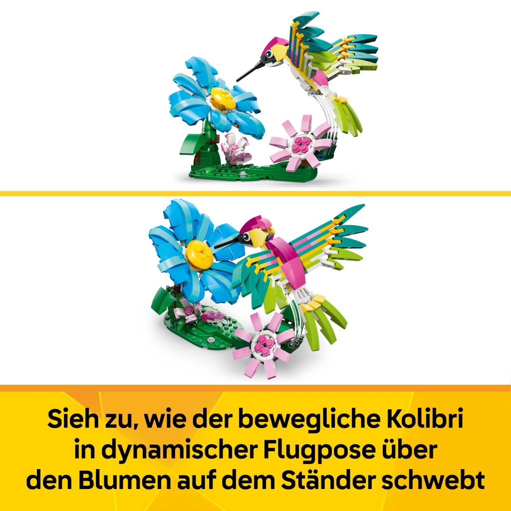 Produktabbildung Wilde Tiere: Bunter Kolibri
