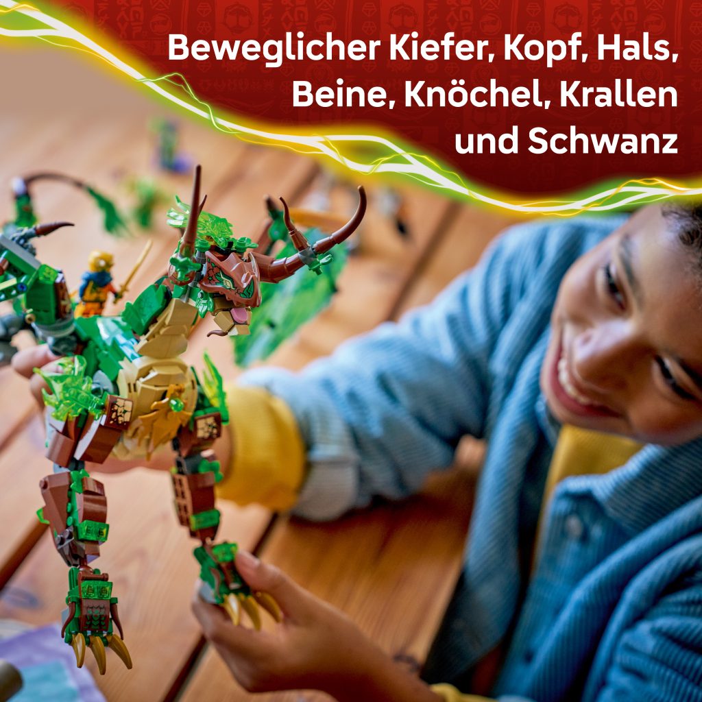 Produktabbildung Der Drache des Lebens