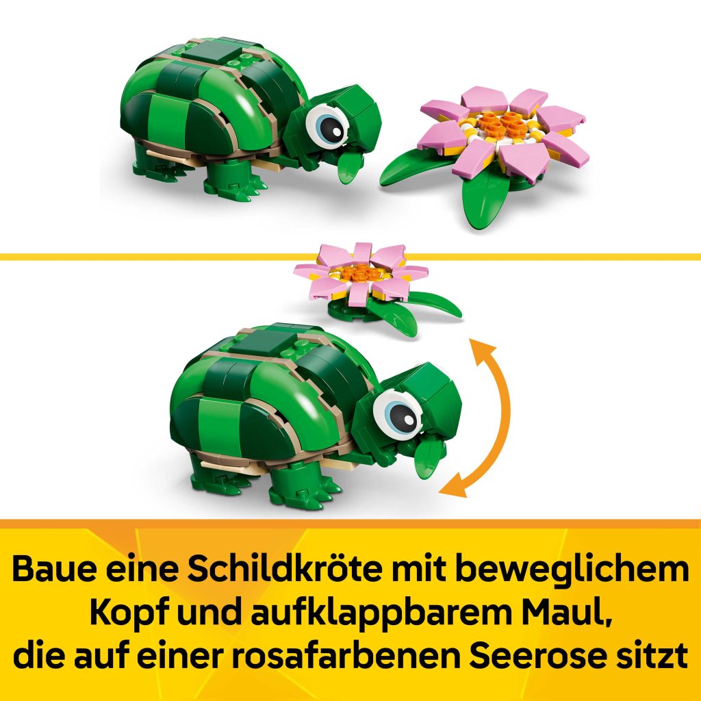 Produktabbildung Schildkröte mit Seerose