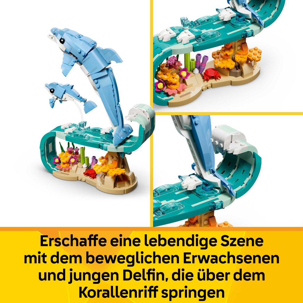Produktabbildung Meerestiere: Wunderschöne Delfine