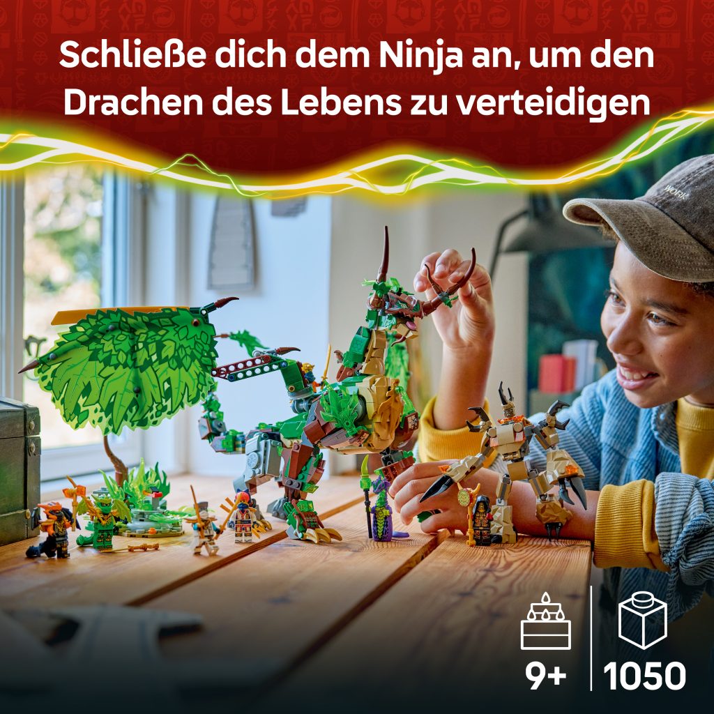 Produktabbildung Der Drache des Lebens